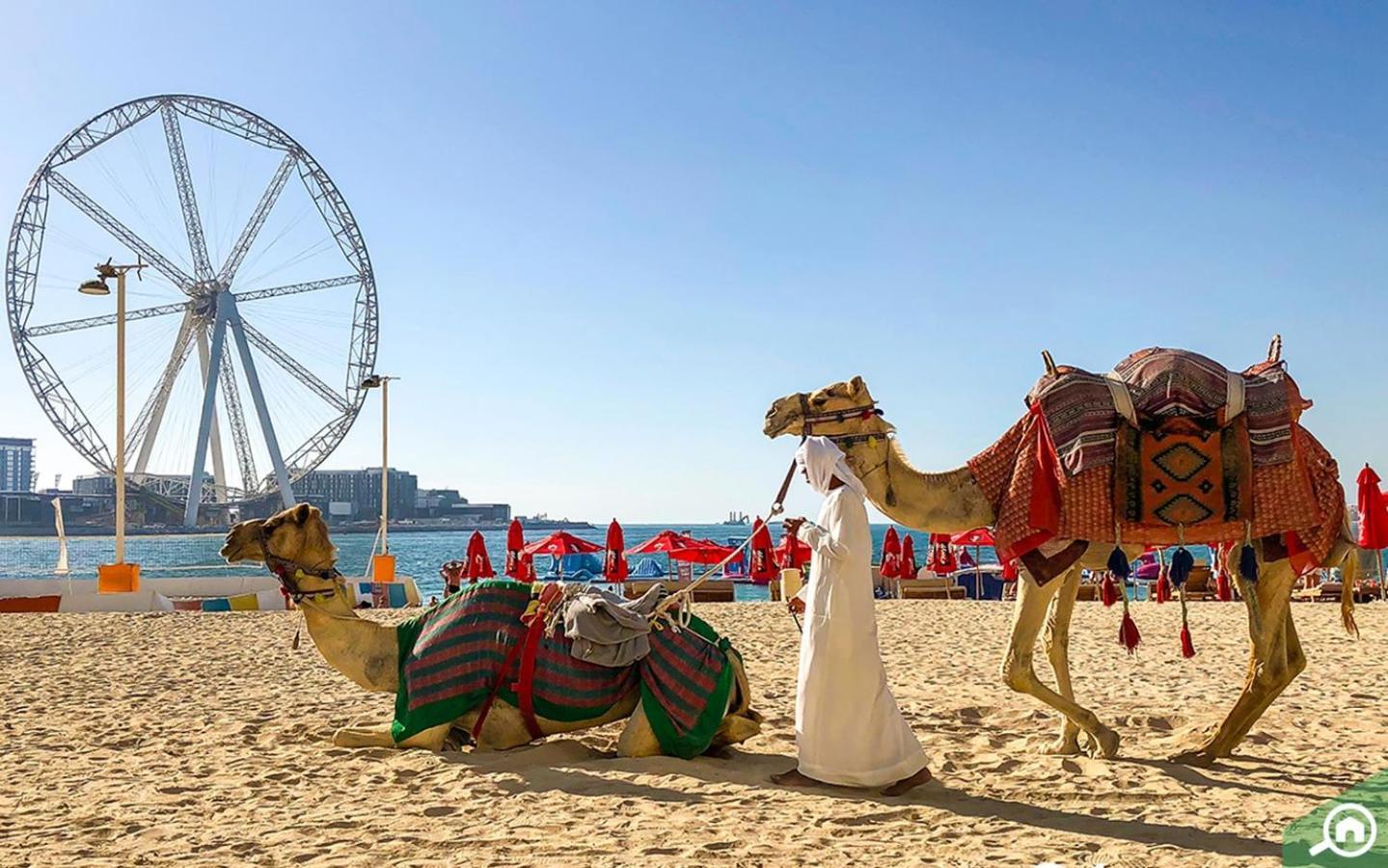 Happy Season - Jbr Apartments, Beach Front, Top Furnished Apartment
